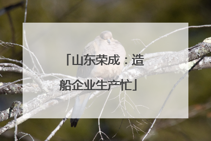 山东荣成：造船企业生产忙