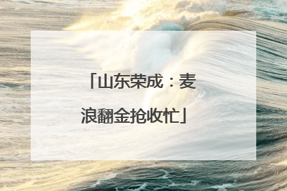 山东荣成：麦浪翻金抢收忙
