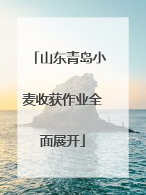 山东青岛小麦收获作业全面展开