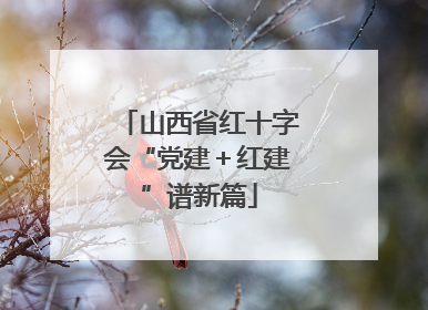 山西省红十字会“党建＋红建”谱新篇