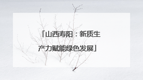 山西寿阳：新质生产力赋能绿色发展