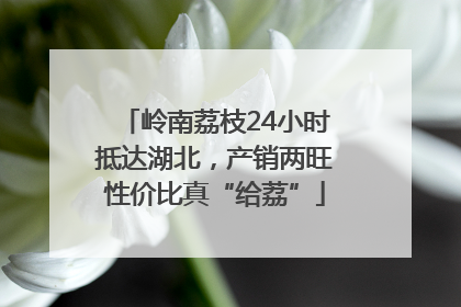 岭南荔枝24小时抵达湖北，产销两旺性价比真“给荔”