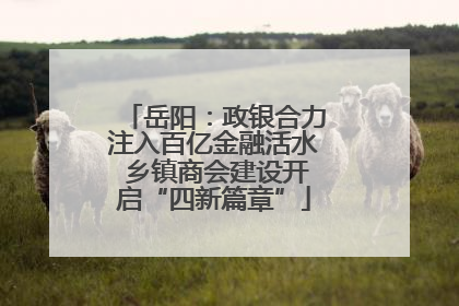 岳阳：政银合力注入百亿金融活水 乡镇商会建设开启“四新篇章”
