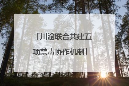 川渝联合共建五项禁毒协作机制