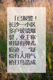 已报警！长沙一小区多户玻璃爆裂，业主称明显有弹孔痕迹，“疑似有人用气枪打鸟造成”