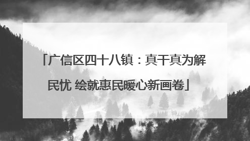 广信区四十八镇：真干真为解民忧 绘就惠民暖心新画卷