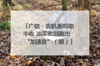 广信：农机轰鸣助丰收 油菜收割跑出“加速度”（图）