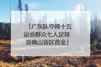 广东队夺得十五运会群众七人足球赛佛山赛区首金