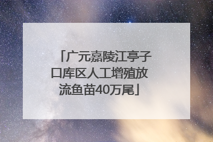 广元嘉陵江亭子口库区人工增殖放流鱼苗40万尾