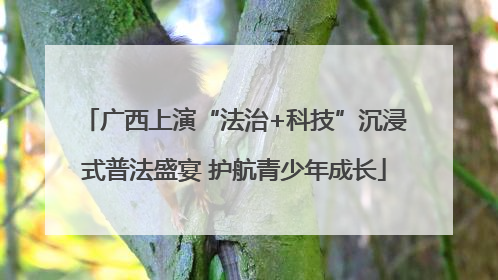 广西上演“法治+科技”沉浸式普法盛宴 护航青少年成长