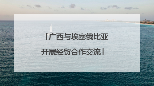 广西与埃塞俄比亚开展经贸合作交流