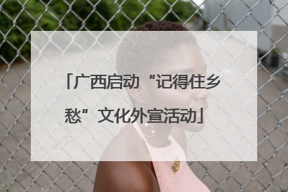 广西启动“记得住乡愁”文化外宣活动