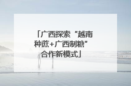 广西探索“越南种蔗+广西制糖”合作新模式