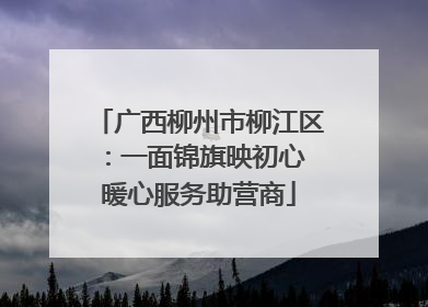 广西柳州市柳江区：一面锦旗映初心 暖心服务助营商