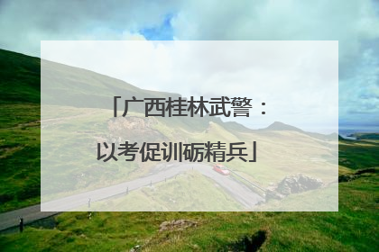 广西桂林武警：以考促训砺精兵
