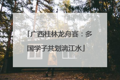 广西桂林龙舟赛：多国学子共划漓江水