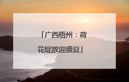 广西梧州：荷花绽放迎盛夏