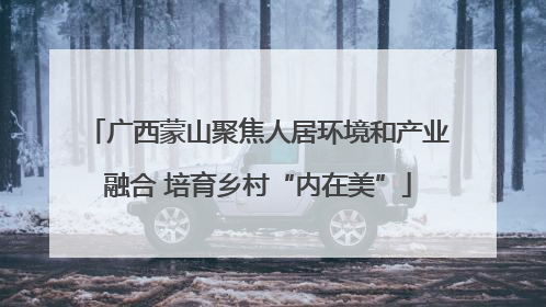 广西蒙山聚焦人居环境和产业融合 培育乡村“内在美”