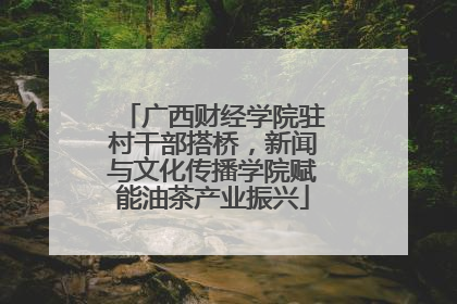广西财经学院驻村干部搭桥，新闻与文化传播学院赋能油茶产业振兴