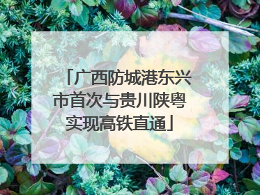 广西防城港东兴市首次与贵川陕粤实现高铁直通