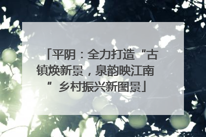 平阴：全力打造“古镇焕新景，泉韵映江南”乡村振兴新图景