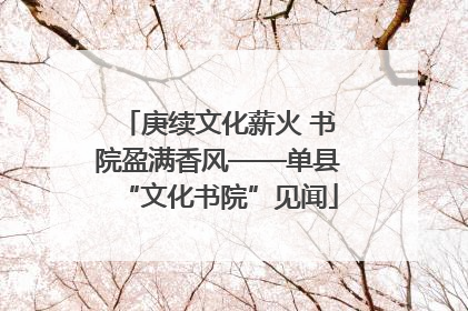 庚续文化薪火 书院盈满香风——单县“文化书院”见闻