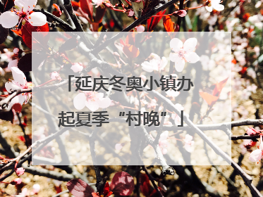 延庆冬奥小镇办起夏季“村晚”