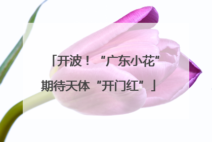 开波！“广东小花”期待天体“开门红”