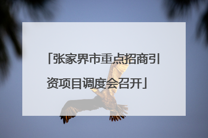 张家界市重点招商引资项目调度会召开