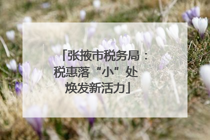 张掖市税务局：税惠落“小”处 焕发新活力