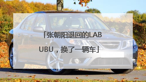 张朝阳退回的LABUBU，换了一辆车