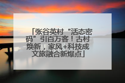 张谷英村“活态密码”引百万客！古村焕新，家风+科技成文旅融合新爆点