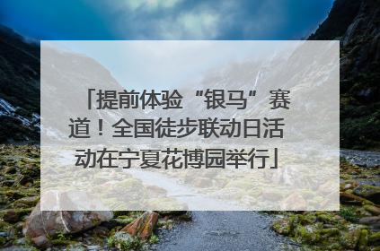 提前体验“银马”赛道！全国徒步联动日活动在宁夏花博园举行