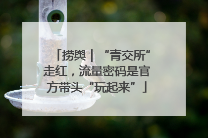 捞舆｜“青交所”走红，流量密码是官方带头“玩起来”