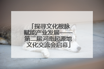 探寻文化根脉 赋能产业发展——第二届河南起源地文化交流会启幕