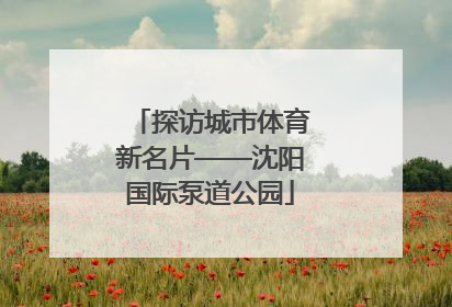 探访城市体育新名片——沈阳国际泵道公园