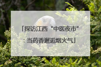 探访江西“中医夜市”：当药香邂逅烟火气