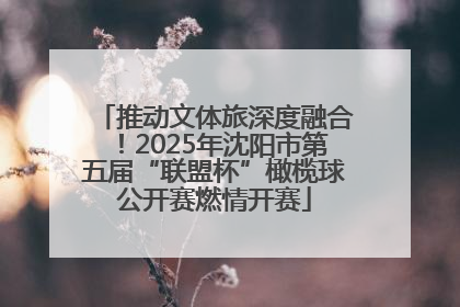 推动文体旅深度融合！2025年沈阳市第五届“联盟杯”橄榄球公开赛燃情开赛