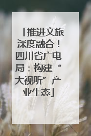 推进文旅深度融合！四川省广电局：构建“大视听”产业生态