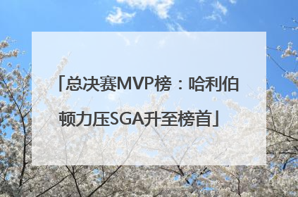 总决赛MVP榜：哈利伯顿力压SGA升至榜首