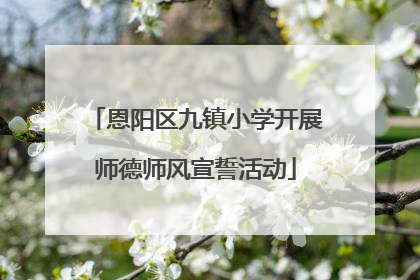 恩阳区九镇小学开展师德师风宣誓活动