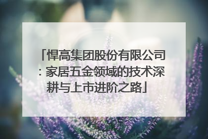 悍高集团股份有限公司：家居五金领域的技术深耕与上市进阶之路