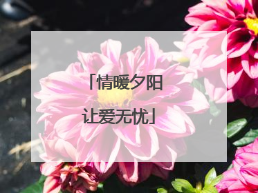 情暖夕阳 让爱无忧