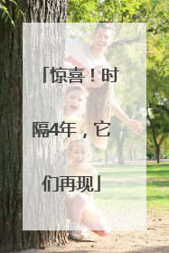 惊喜！时隔4年，它们再现