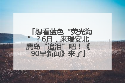 想看蓝色“荧光海”？6月，来瑞安北麂岛“追泪”吧！《90早新闻》来了