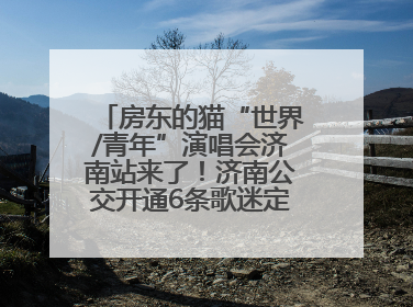 房东的猫“世界/青年”演唱会济南站来了！济南公交开通6条歌迷定制专线