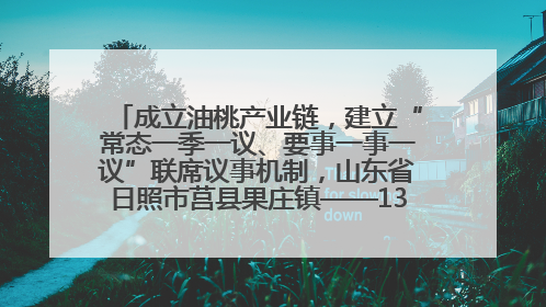 成立油桃产业链，建立“常态一季一议、要事一事一议”联席议事机制，山东省日照市莒县果庄镇——13个党小组“全周期”育果
