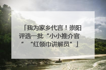 我为家乡代言！崇阳评选一批“小小推介官”“红领巾讲解员”