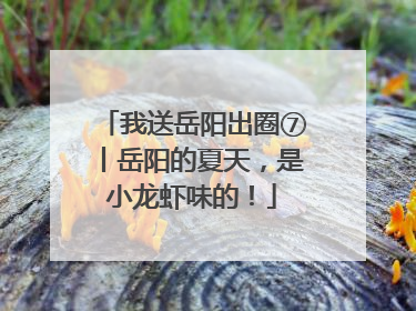 我送岳阳出圈⑦丨岳阳的夏天，是小龙虾味的！