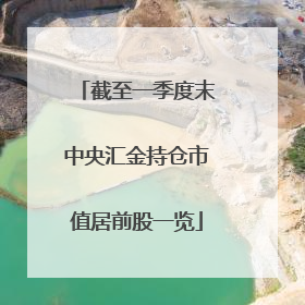 截至一季度末中央汇金持仓市值居前股一览
